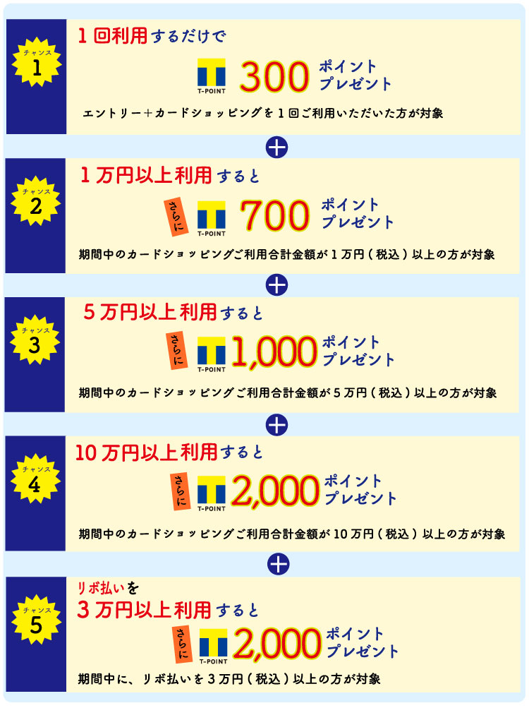 エヌタスtカード エヌタスtカード